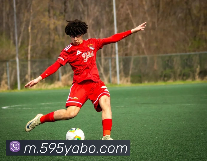 赛事专题整合